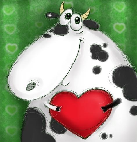 Krowa z sercem