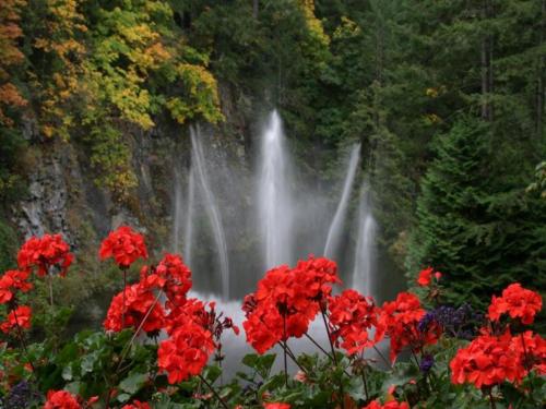 Wodospad i kwiatki